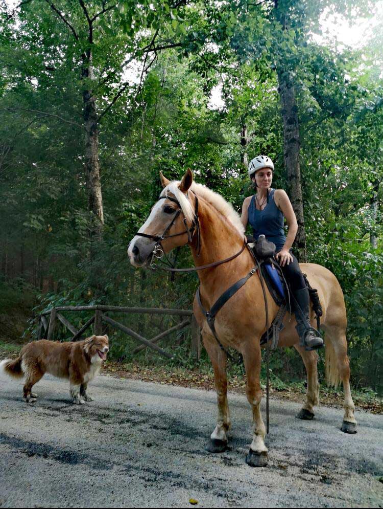 Ridolla Premilcuore escursioni a cavallo e lezioni di equitazione